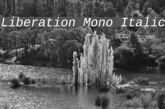Liberation Mono Italic Fonte examples