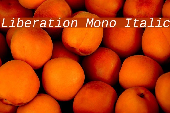 Liberation Mono Italic Font examples