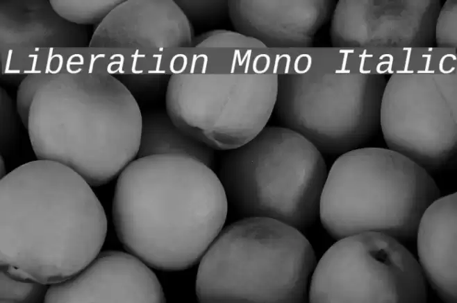 Liberation Mono Italic Fonte examples