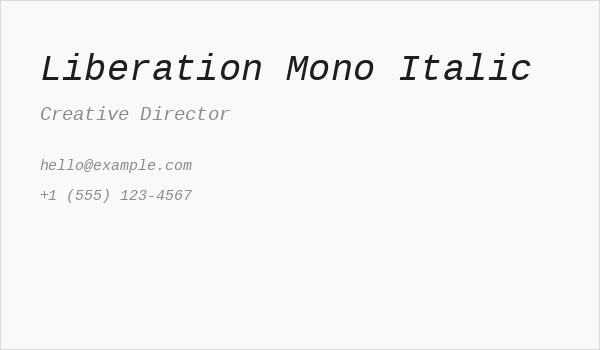 Liberation Mono Italic Business Card
