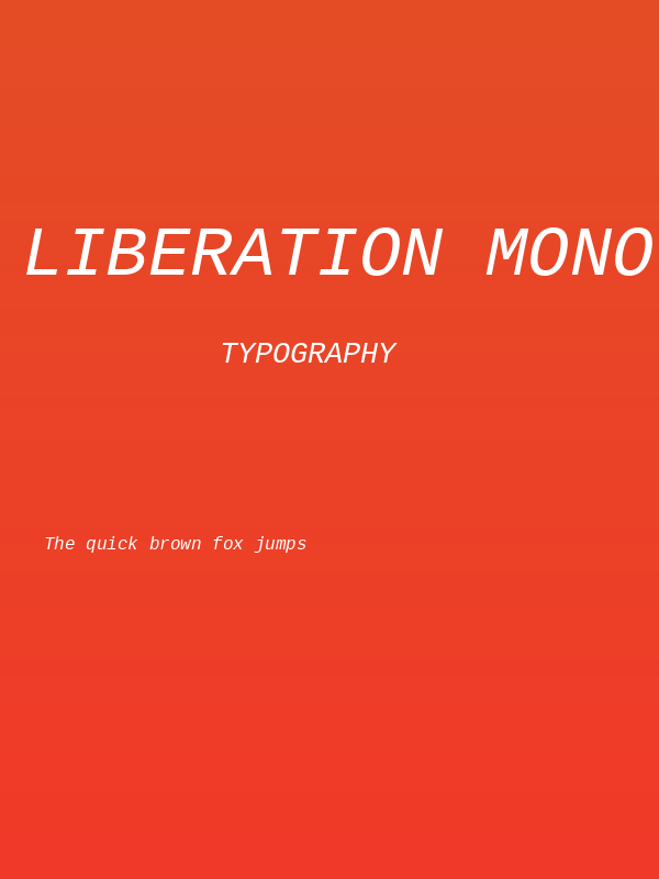 Liberation Mono Italic Poster