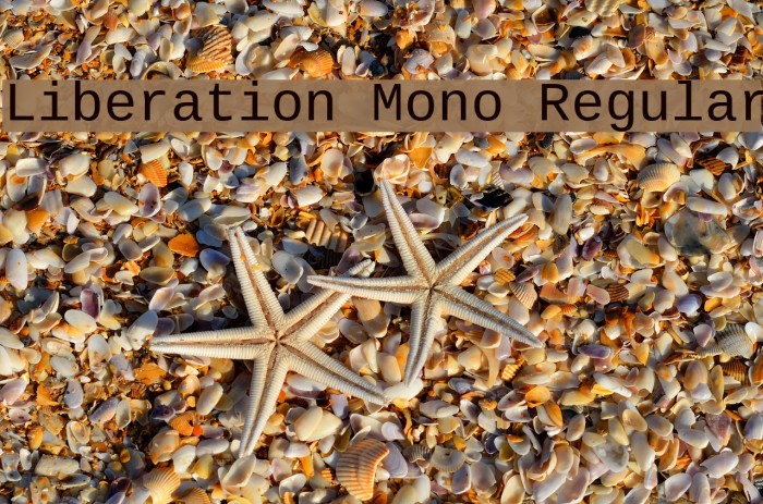 Liberation Mono Regular Шрифта examples