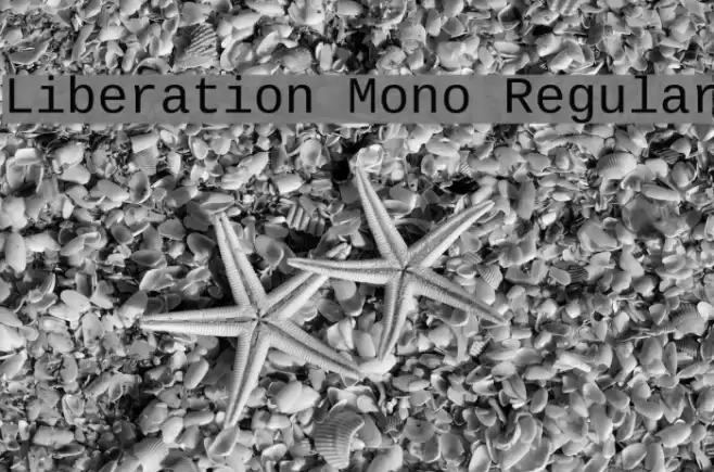 Liberation Mono Regular Шрифта examples