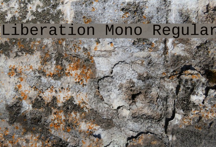 Liberation Mono Regular Шрифта examples
