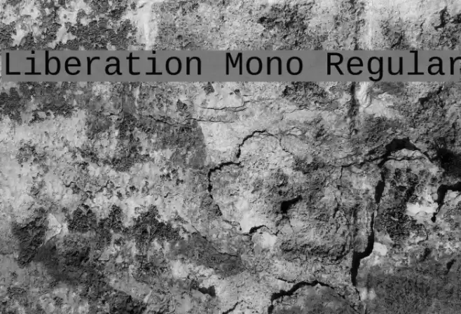 Liberation Mono Regular Шрифта examples