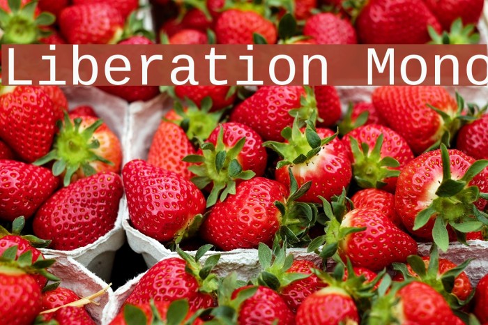 Liberation Mono Font examples