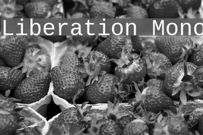 Liberation Mono フォント examples