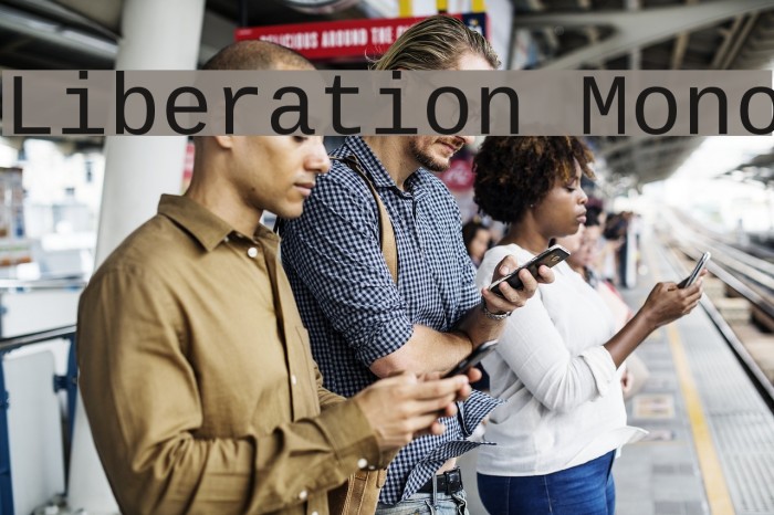 Liberation Mono Font examples