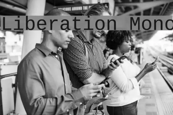 Liberation Mono フォント examples