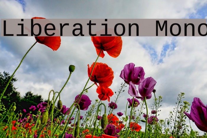Liberation Mono Font examples