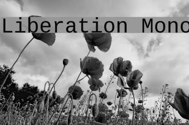 Liberation Mono フォント examples