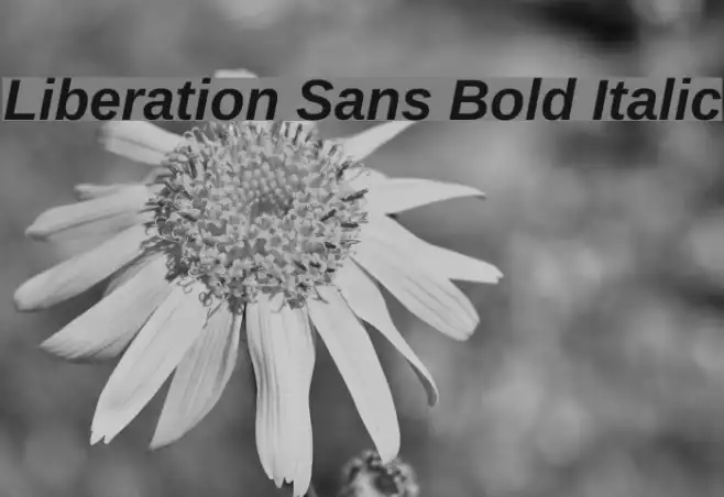 Liberation Sans Bold Italic Example 1