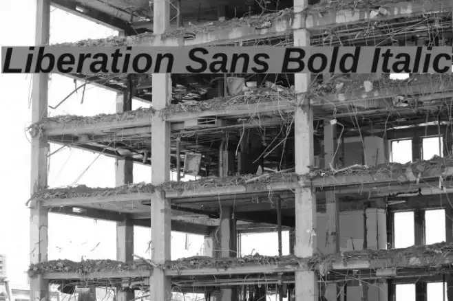 Liberation Sans Bold Italic Example 2