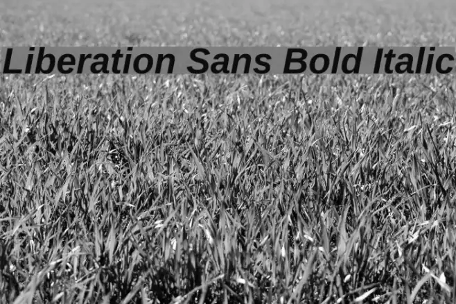 Liberation Sans Bold Italic Example 3
