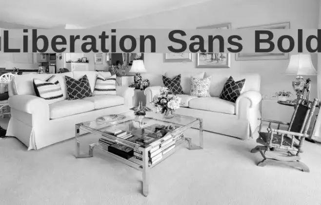 Liberation Sans Bold Example 2