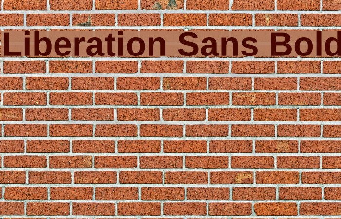 Liberation Sans Bold Font examples
