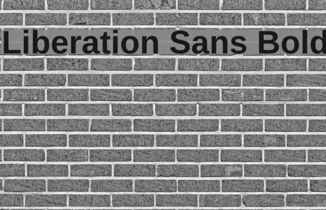 Liberation Sans Bold Example 3