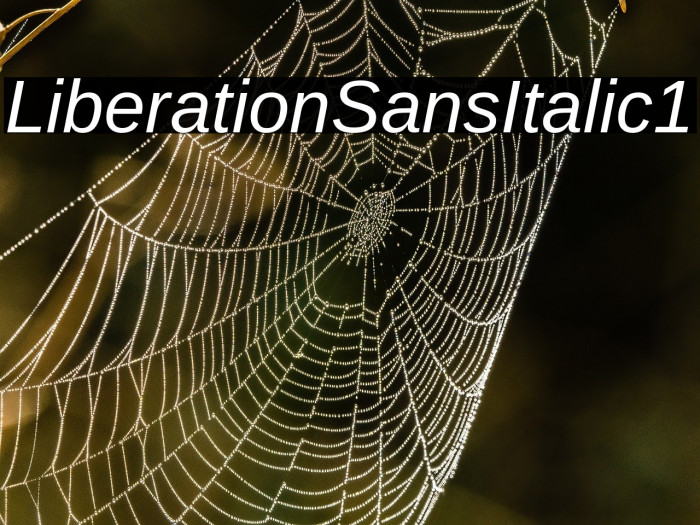 Liberation Sans Italic1 Example 3