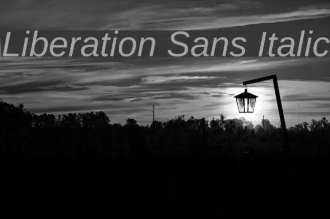 Liberation Sans Italic examples