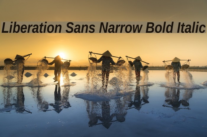 Liberation Sans Narrow Bold Italic Font examples