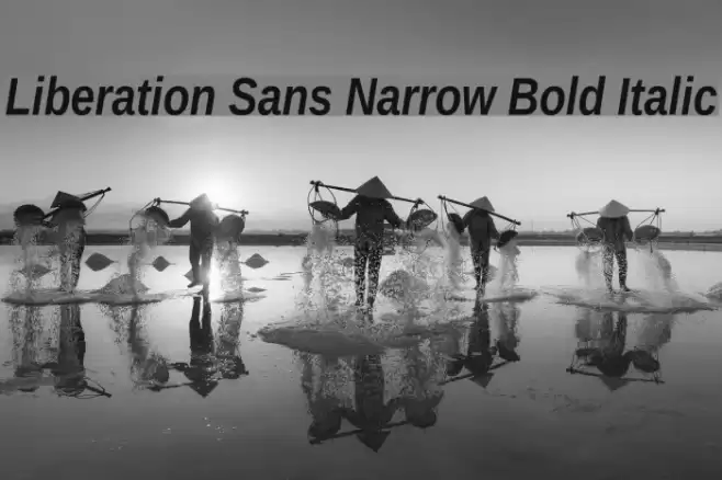 Liberation Sans Narrow Bold Italic Fuentes examples