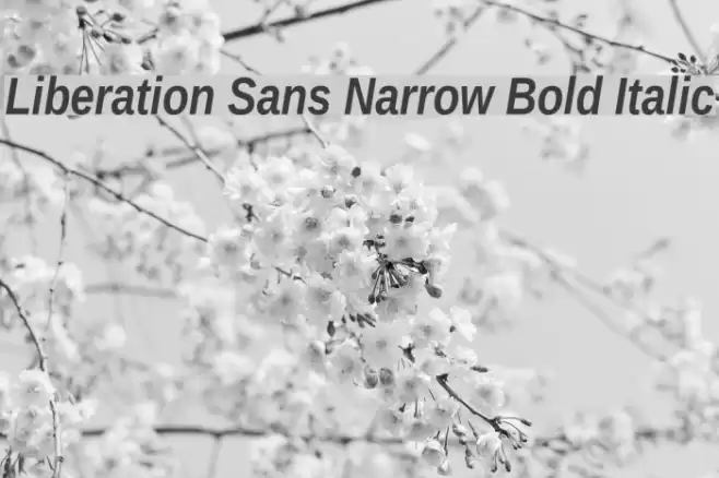 Liberation Sans Narrow Bold Italic Fuentes examples