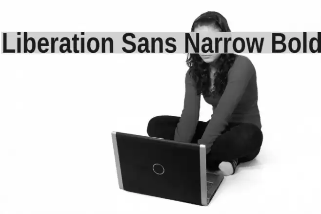 Liberation Sans Narrow Bold Font examples