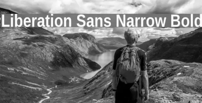 Liberation Sans Narrow Bold Font examples