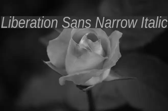 Liberation Sans Narrow Italic Font examples