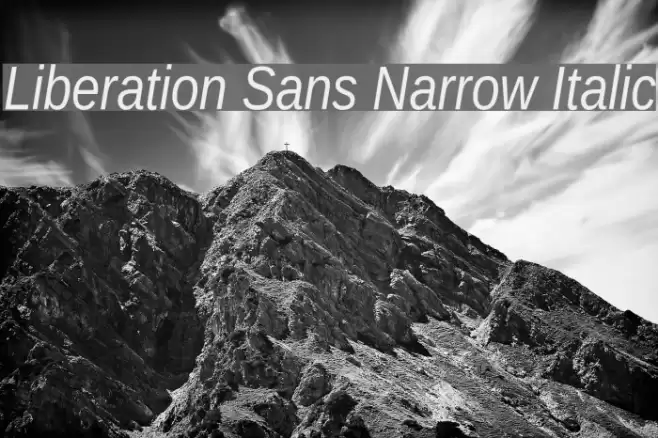 Liberation Sans Narrow Italic Font examples