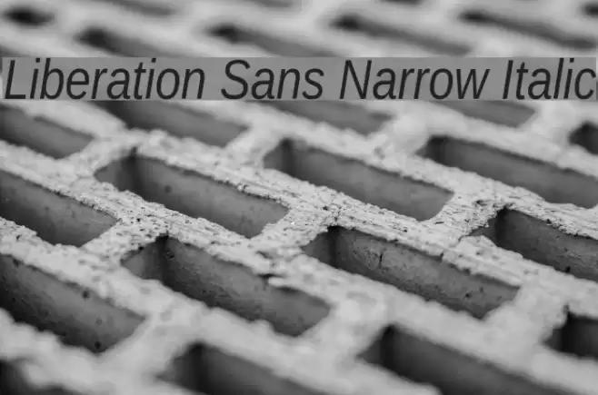 Liberation Sans Narrow Italic Font examples