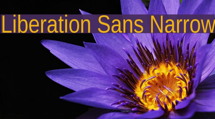 Liberation Sans Narrow Font examples