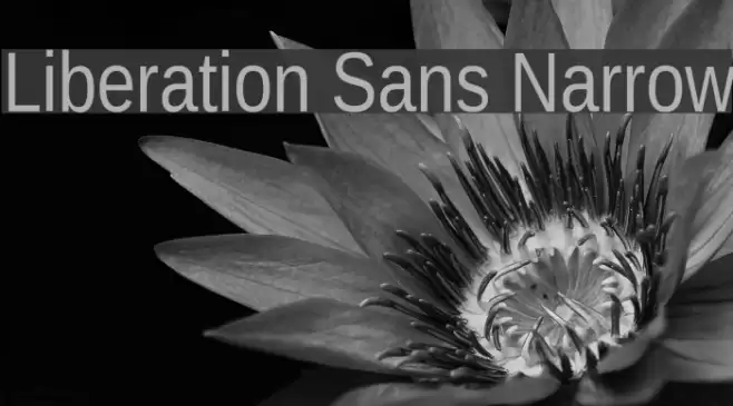 Liberation Sans Narrow Font examples