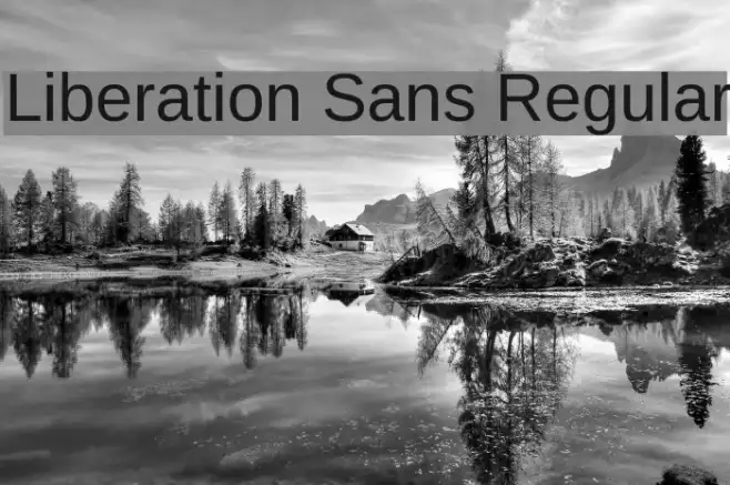 Liberation Sans Regular Example 1