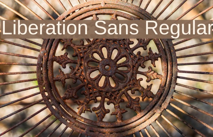 Liberation Sans Regular Font examples