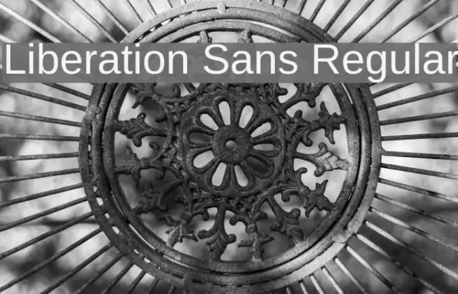 Liberation Sans Regular Example 2