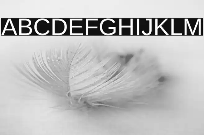 Liberation Sans Font examples