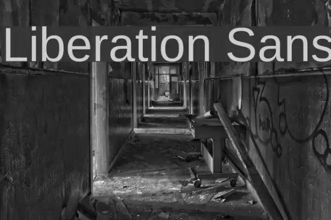 Liberation Sans Font examples