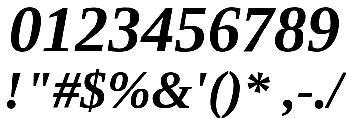 Liberation Serif Bold Italic Font OTHER CHARS