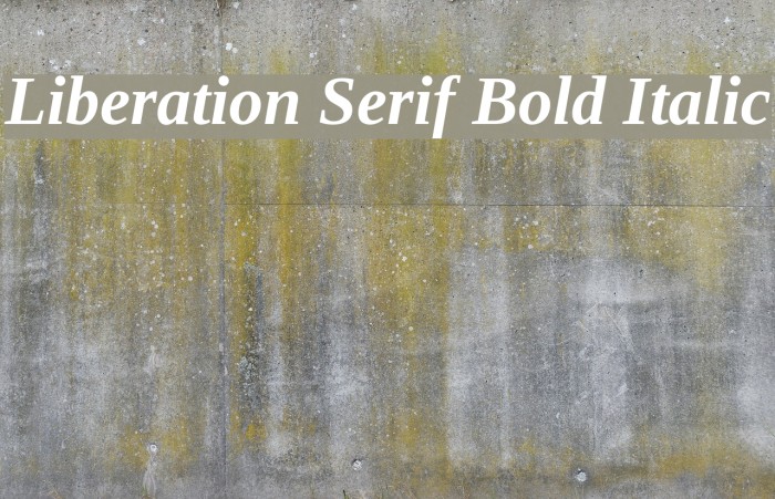 Liberation Serif Bold Italic Font examples