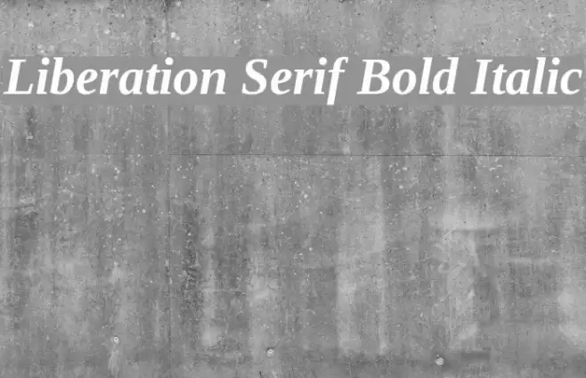Liberation Serif Bold Italic Fuentes examples