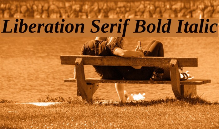 Liberation Serif Bold Italic Font examples