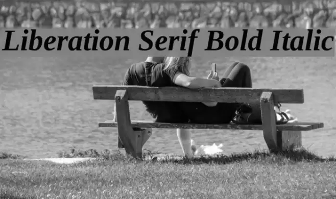 Liberation Serif Bold Italic Fuentes examples
