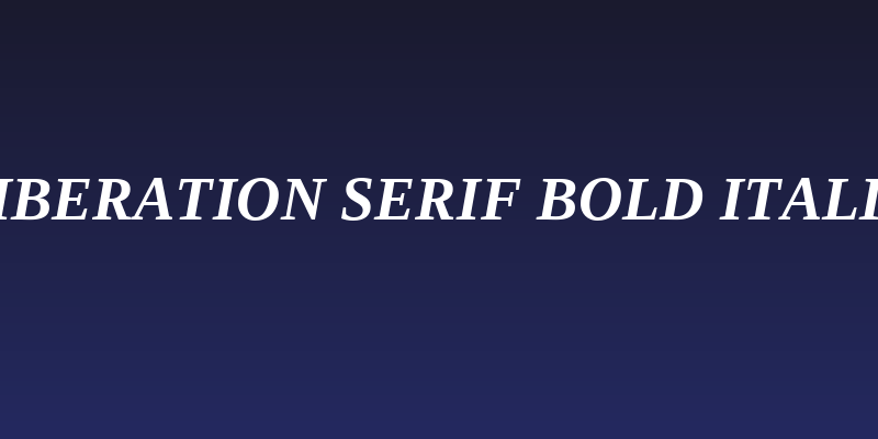 Liberation Serif Bold Italic Social Header