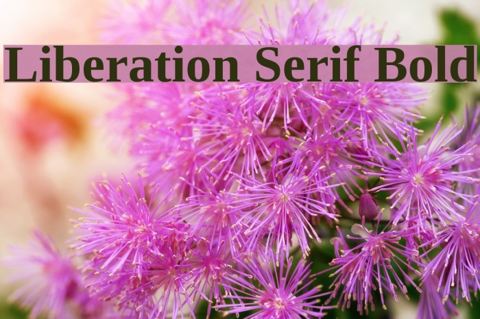 Liberation Serif Bold Font examples