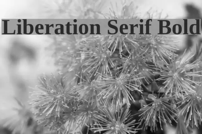 Liberation Serif Bold Schriftart examples