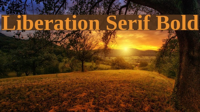Liberation Serif Bold Font examples