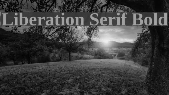 Liberation Serif Bold Schriftart examples