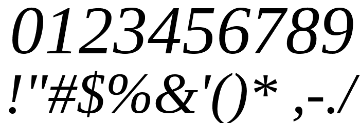Liberation Serif Italic Font OTHER CHARS