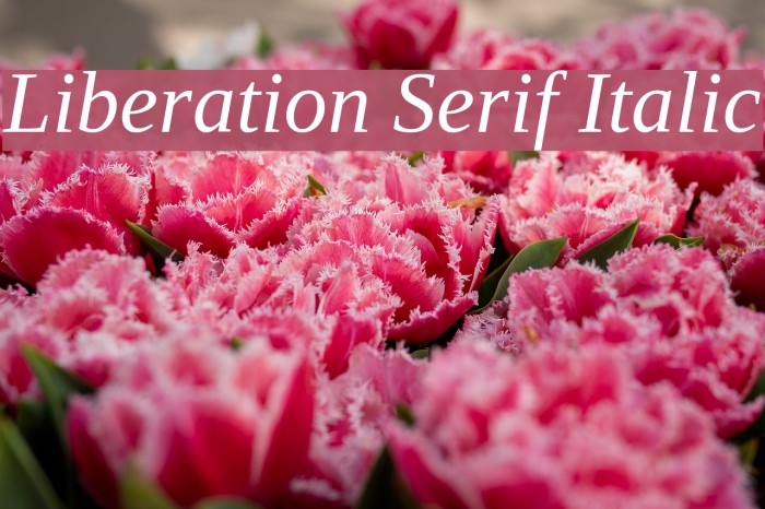 Liberation Serif Italic Font examples